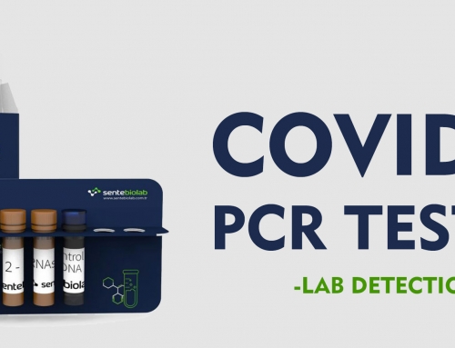 Covid-19 PCR Test Kit